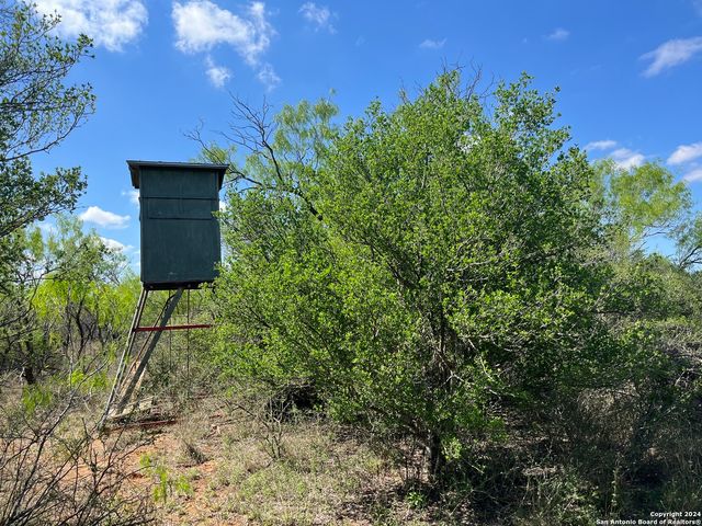 0 Carroll Road, Dilley, TX 78017