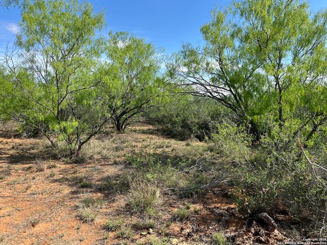 0 Carroll Road, Dilley, TX 78017