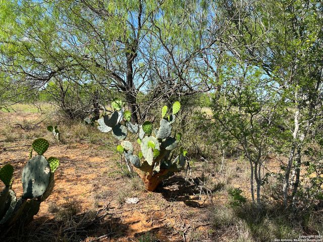 0 Carroll Road, Dilley, TX 78017