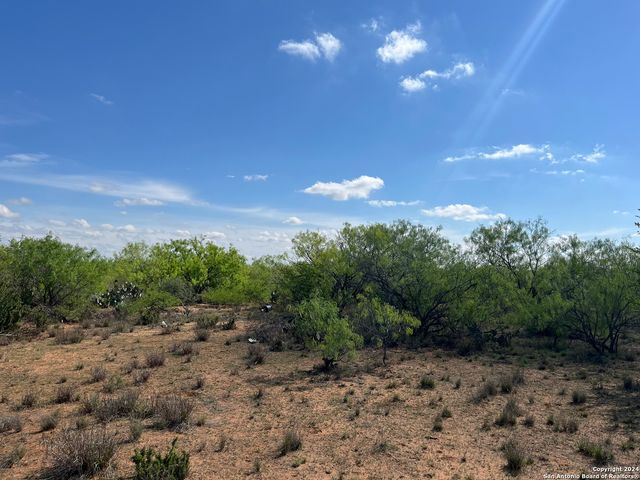 0 Carroll Road, Dilley, TX 78017