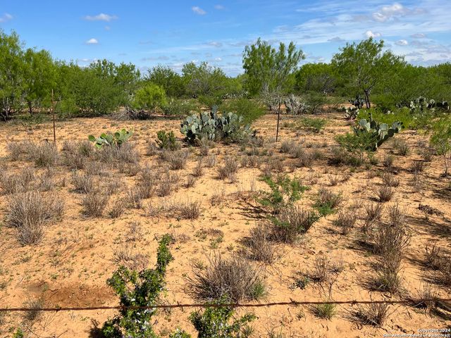 0 Carroll Road, Dilley, TX 78017