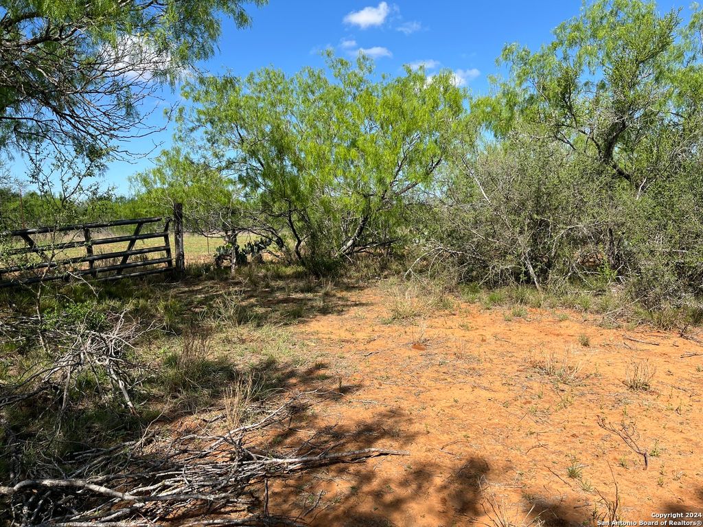 0 Carroll Road, Dilley, TX 78017