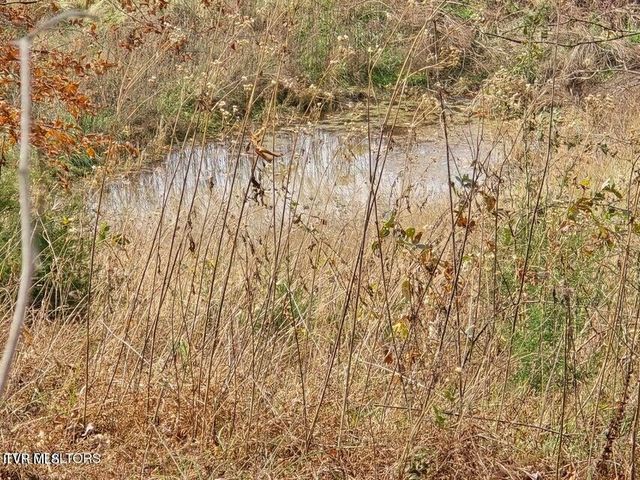 Tbd Trents Chapel Road, Sneedville, TN 37869