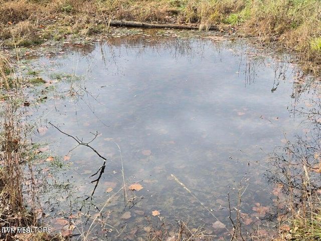 Tbd Trents Chapel Road, Sneedville, TN 37869