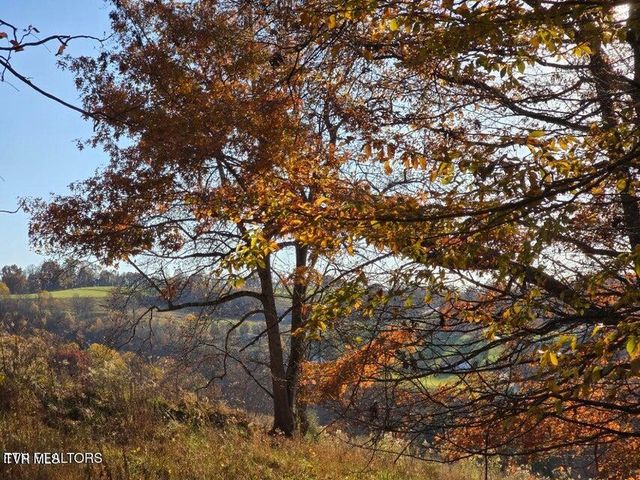 Tbd Trents Chapel Road, Sneedville, TN 37869