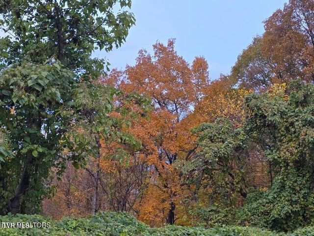 Tbd Trents Chapel Road, Sneedville, TN 37869