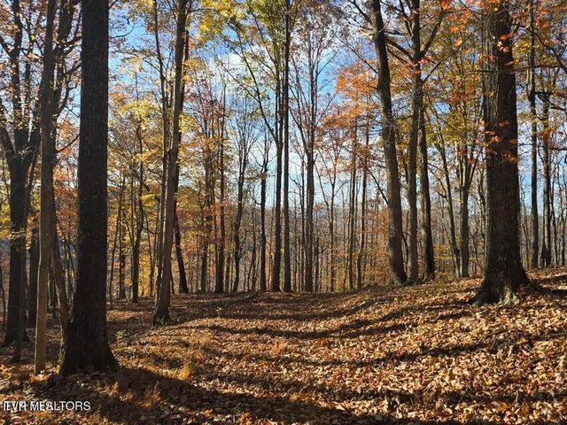 Tbd Trents Chapel Road, Sneedville, TN 37869