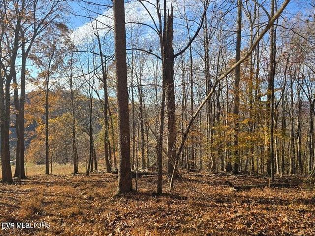 Tbd Trents Chapel Road, Sneedville, TN 37869