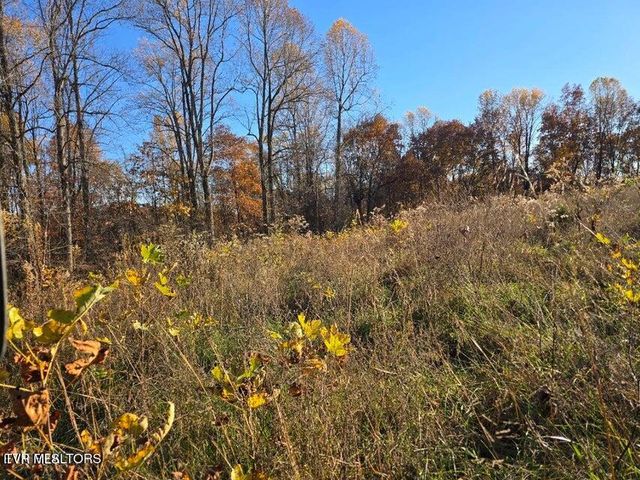 Tbd Trents Chapel Road, Sneedville, TN 37869