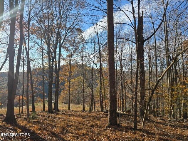 Tbd Trents Chapel Road, Sneedville, TN 37869