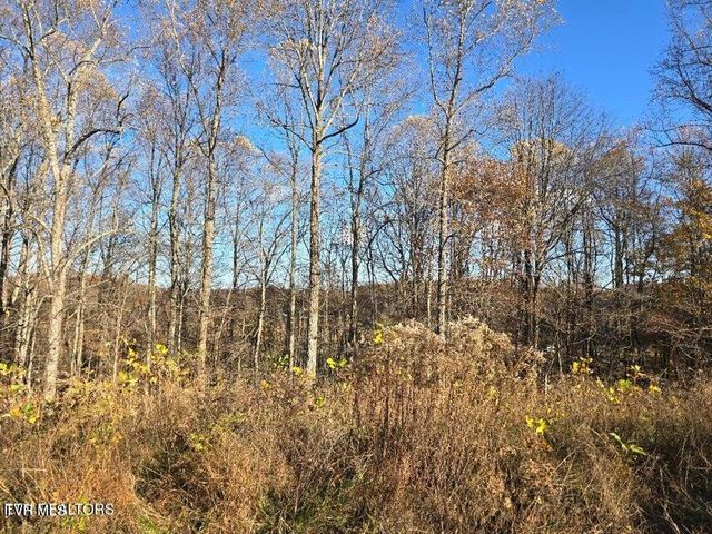 Tbd Trents Chapel Road, Sneedville, TN 37869