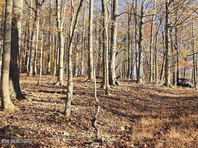 Tbd Trents Chapel Road, Sneedville, TN 37869