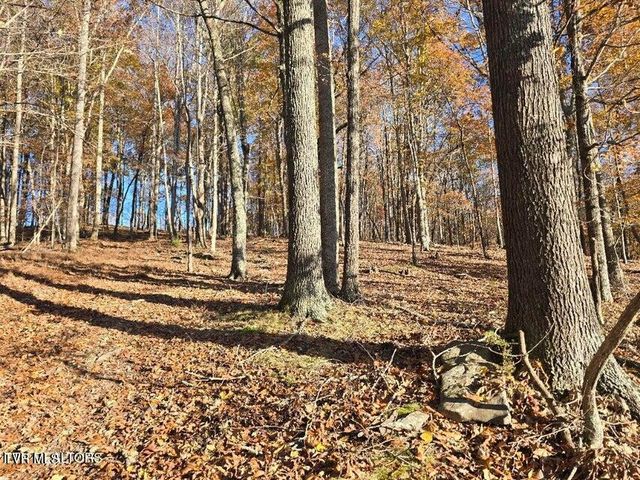 Tbd Trents Chapel Road, Sneedville, TN 37869