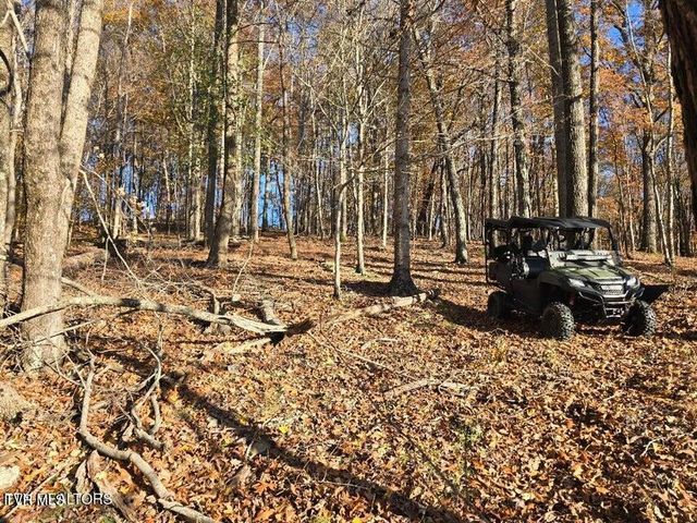 Tbd Trents Chapel Road, Sneedville, TN 37869