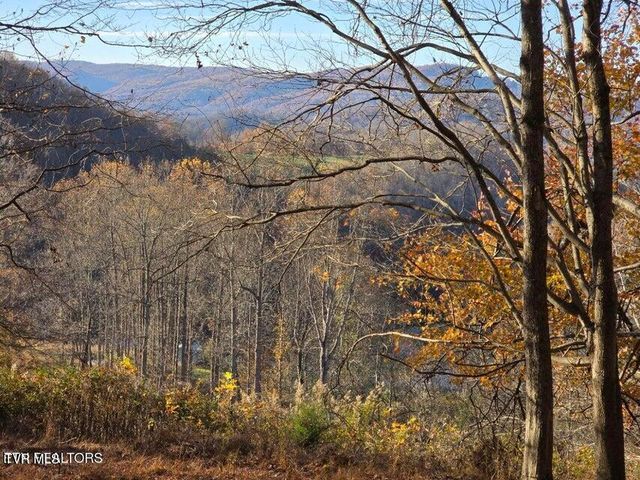 Tbd Trents Chapel Road, Sneedville, TN 37869