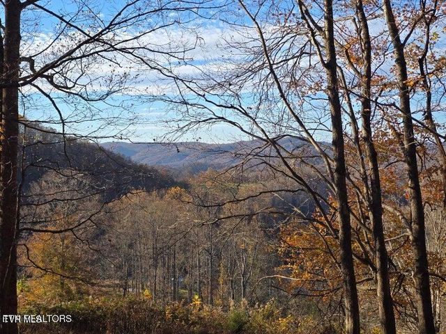 Tbd Trents Chapel Road, Sneedville, TN 37869