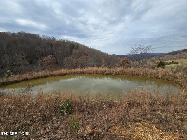 Tbd Trents Chapel Road, Sneedville, TN 37869