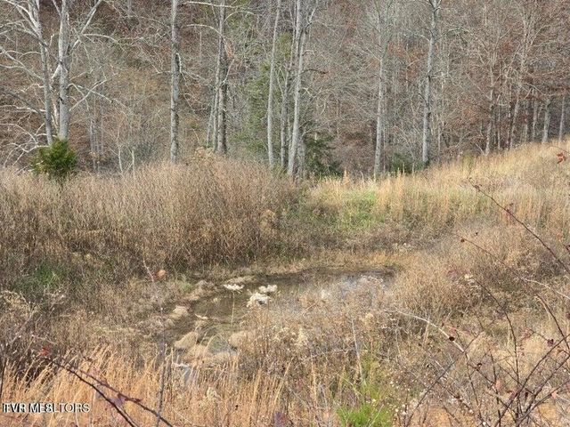 Tbd Trents Chapel Road, Sneedville, TN 37869