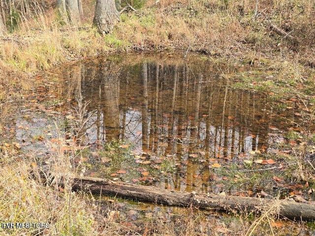 Tbd Trents Chapel Road, Sneedville, TN 37869