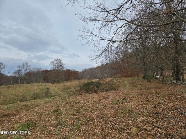 Tbd Trents Chapel Road, Sneedville, TN 37869