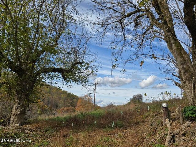 Tbd Trents Chapel Road, Sneedville, TN 37869