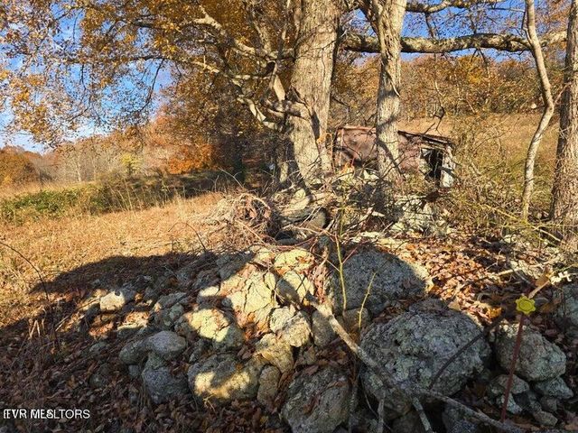 Tbd Trents Chapel Road, Sneedville, TN 37869