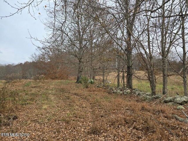 Tbd Trents Chapel Road, Sneedville, TN 37869