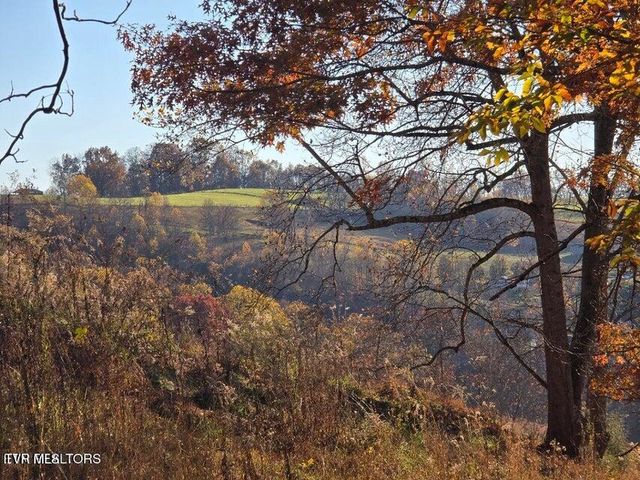 Tbd Trents Chapel Road, Sneedville, TN 37869