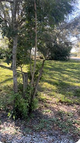 337 WATERVIEW DRIVE, Polk City, FL 33868