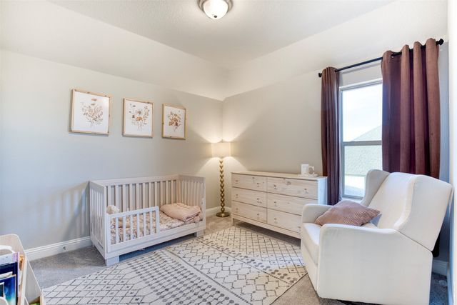 12605 Eagles Bluff, Godley, TX 76044