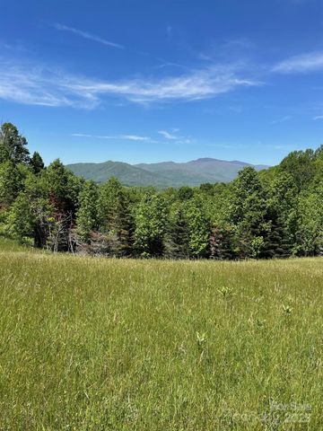 999 Chestnut Mountain Drive, Green Mountain, NC 28740