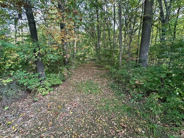 6990 Cuff Road, Sandstone Twp, MI 49201