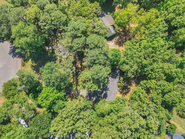 132 Dexter Circle, Madison, AL 35757