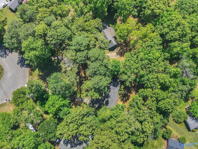 132 Dexter Circle, Madison, AL 35757