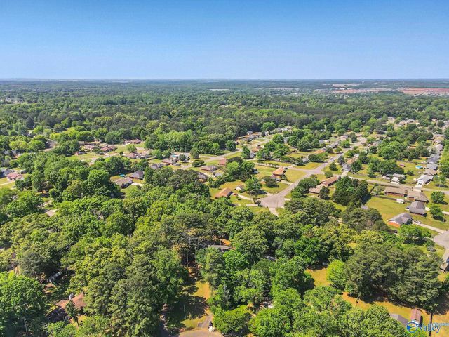 132 Dexter Circle, Madison, AL 35757