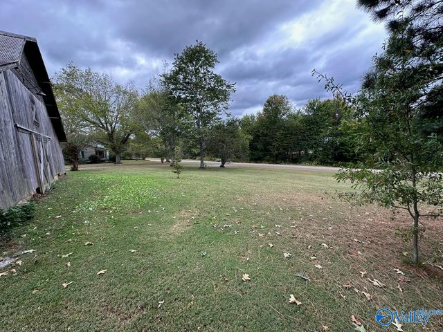 1604 Gum Pond Road, Eva, AL 35621