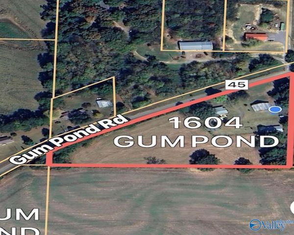 1604 Gum Pond Road, Eva, AL 35621