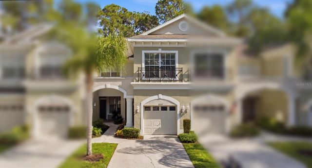 14244 WATERVILLE CIRCLE, Tampa, FL 33626