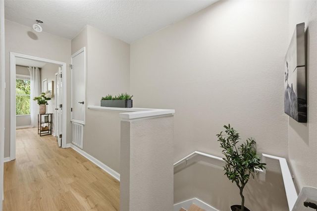 14244 WATERVILLE CIRCLE, Tampa, FL 33626