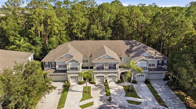 14244 WATERVILLE CIRCLE, Tampa, FL 33626