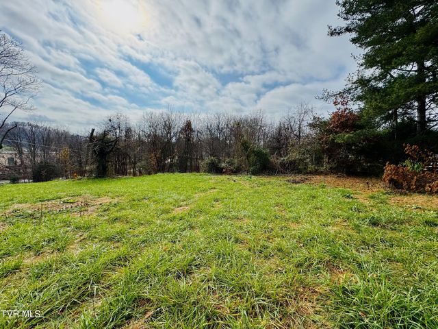 355 Honeysuckle Drive, Kingsport, TN 37663