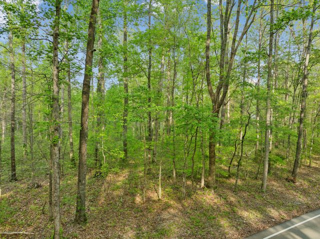 0 Bahne Rd, Fairview, TN 37062
