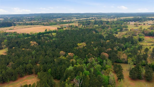 17804 CR 4325, Frankston, TX 75163