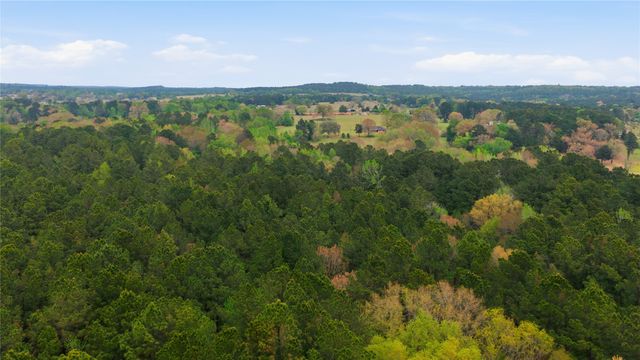 17804 CR 4325, Frankston, TX 75163