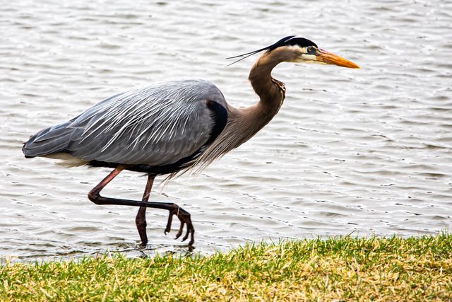 4713 N Spyglass St, Wichita, KS 67226