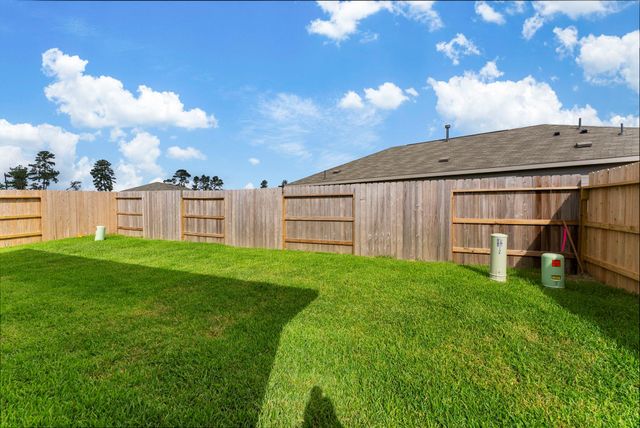 706 Umbrella Tree Drive, Magnolia, TX 77354