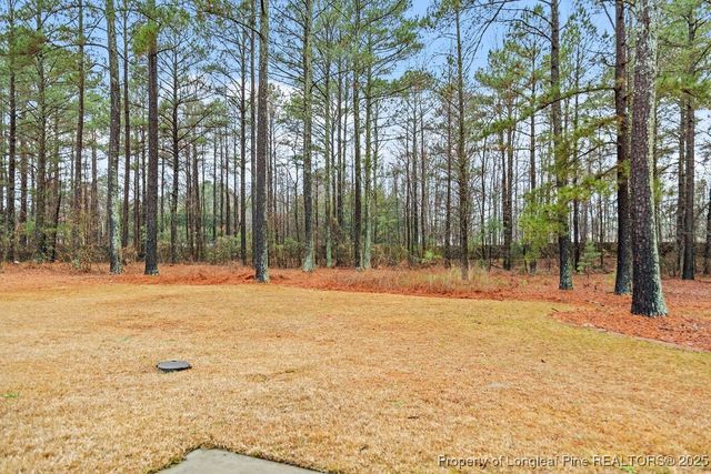 90 Orchad Falls Drive, Spring Lake, NC 28390