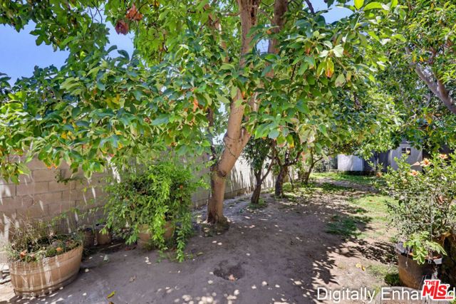 970 N Meyler Street, San Pedro (los Angeles), CA 90731