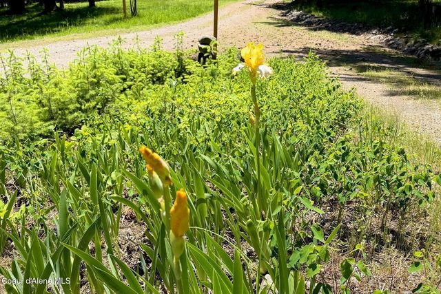 185 Larchwood Dr, Sagle, ID 83860