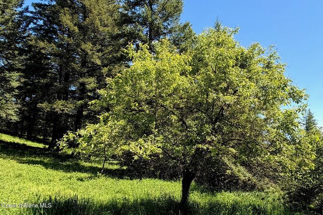 185 Larchwood Dr, Sagle, ID 83860